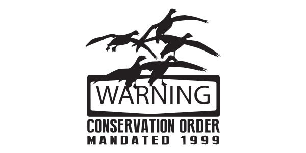 Whiteout Outfitters Shirt Designs